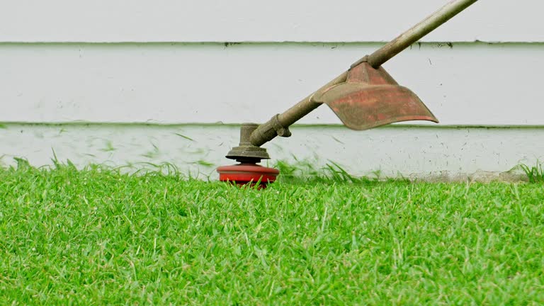 Lawn Watering Services in Orange Beach, AL
